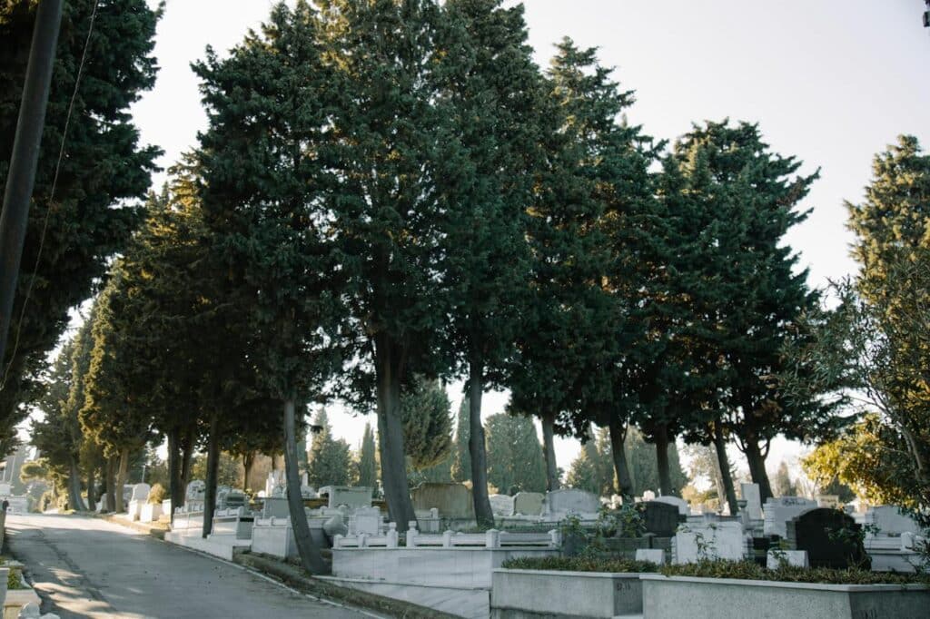 cimetière